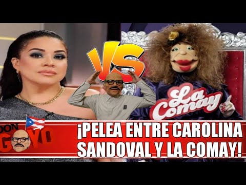 ?¡Carolina Sandoval 'La Venenosa' se enfrenta a La Comay! ??