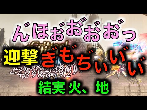 【アナデン】結実セティー　迎撃で遊びたかった　誓約火、地【アナザーエデン】