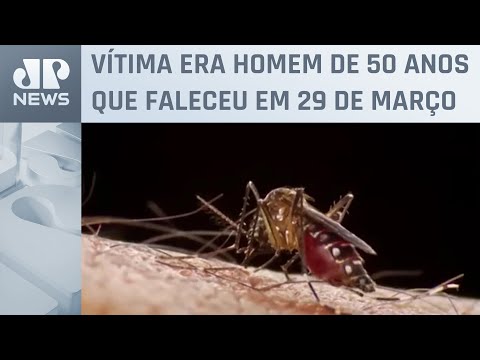 São Paulo registra primeira morte por febre amarela em 2024