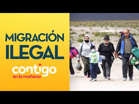 QUE NO SIGAN ENTRANDO: El intenso debate por inmigrantes ilegales en Chile - Contigo en La Mañana