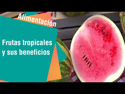 Frutas tropicales y sus beneficios para la salud | Alimentación Sana