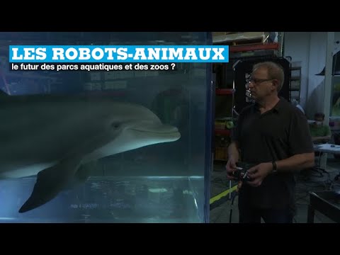 Les robots-animaux, le futur des parcs aquatiques et des zoos 