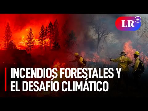 INCENDIOS FORESTALES en América del Sur y Europa RESALTAN IMPACTOS del CAMBIO CLIMÁTICO