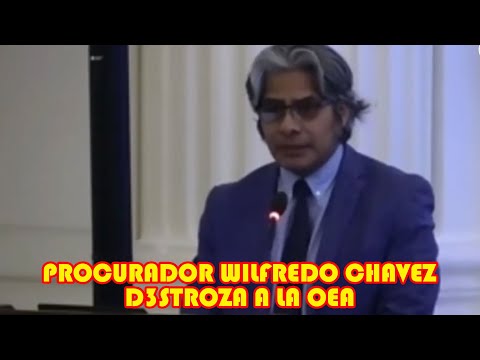 PROCURADOR WILFREDO CHAVEZ ORGANIZACIÓN DE ESTADOS AMERICANO NUNC4 RE4LIZÓ AUDITORIA ELECCIONES 2019