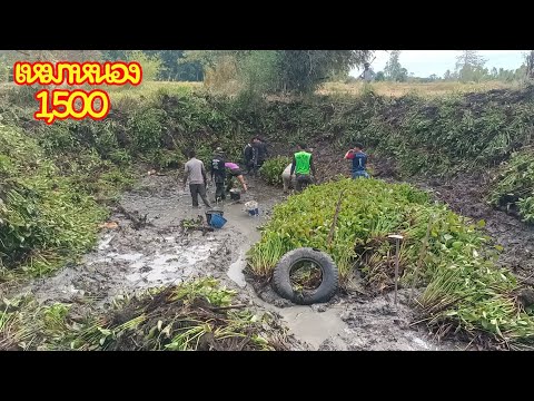 หากินถิ่นอีสาน เหมาหนองปลานอนนายิงหนู