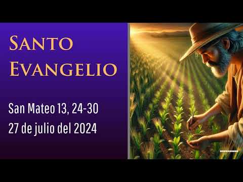 Evangelio del 27 de julio del 2024 según san Mateo 13, 24-30