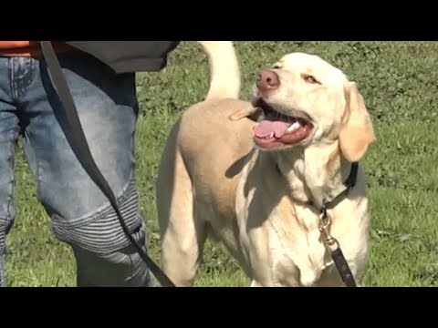 UN DIVERTIDO DÍA JUNTO A UN JUGUETÓN “BRUNO”