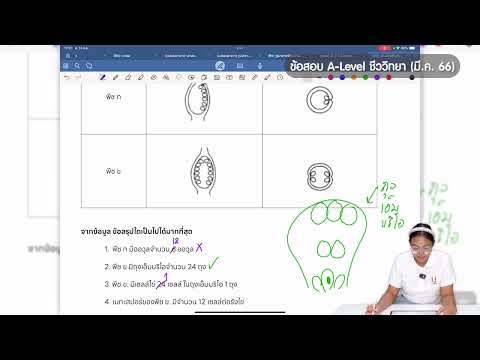 ❗เฉลย❗ตัวอย่างข้อสอบA-Level