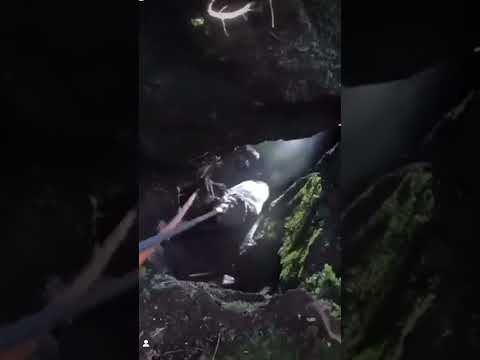 Puppy rescued after getting trapped inside narrow cave in Hawaii ?