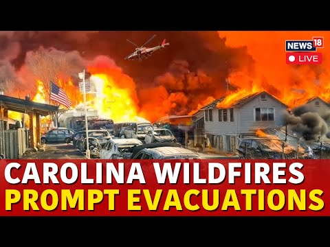 South Carolina Wildfire LIVE Updates | Wildfire Causes State Of Emergency In South Carolina | N18G