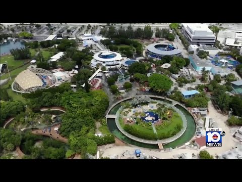 County sends eviction notice to owners of Miami Seaquarium