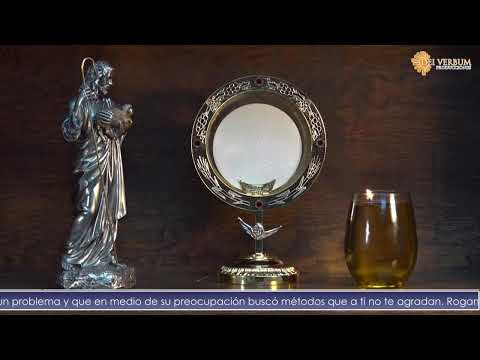 Momentos de oración | Padre Martín Ávalos | Estamos orando por tus intenciones