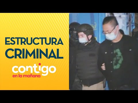 ¿A LO PABLO ESCOBAR? Esta es la estructura criminal de las bandas chilenas - Contigo en La Mañana