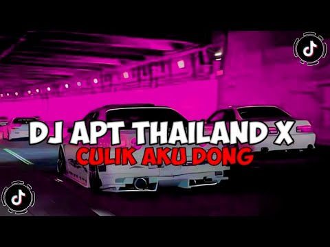 DJ APT THAILAND X CULIK AKU DONG VIRAL TIKTOK TERBARU 2024 FULL SONG MAMAN FVNDY !