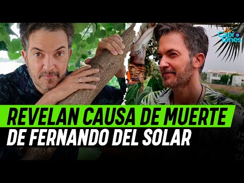 Revelan la causa de muerte de Fernando del Solar