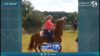 خيل كاد ان يقتل سيدة