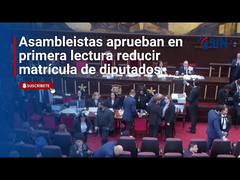 Asambleistas aprueban en primera lectura reducir matrícula de diputados