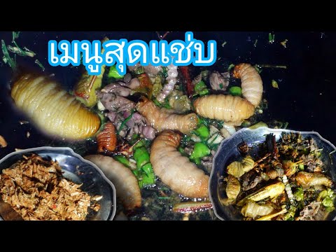 เอาด้วงยักษ์มาทำเป็นเมนูอาหารอ เอาด้วงยักษ์มาทำเป็นเมนูอาหารอ