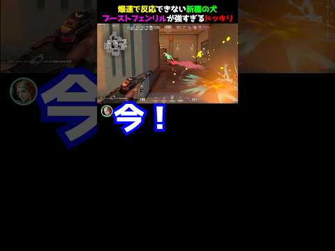 【最強】スカイの新技ブーストフェンリルが楽しくて強すぎるドッキリ　#valorant #valorantクリップ #valorantショート #valorantclips #ヴァロラント