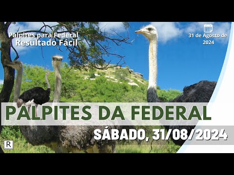 Palpite Federal Jogo do Bicho do dia 31/08/2024 - Resultado Fácil