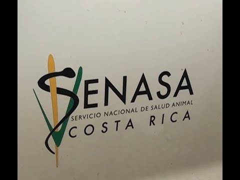 SENASA atendió tres casos de rabia paralítica bovina en la Región Brunca