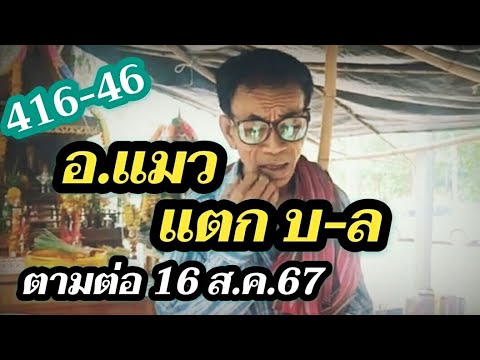 461-41อ.แมวแตกบ-ลตามต่อ16