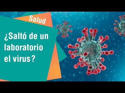 Dato o ficción: ¿Saltó de un laboratorio el virus | Salud