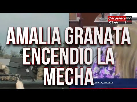 Debate abierto: Amalia Granata pidió el regreso de la Colimba