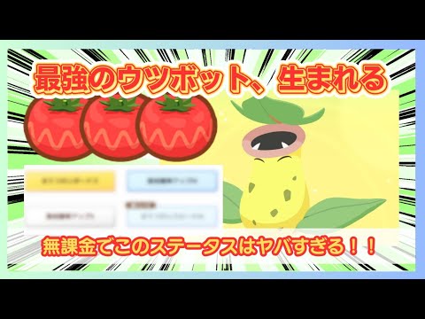 【無課金】きのみタイプウィークを華麗にスルーする料理厨がコチラ＠きのみタイプウィーク2025【ポケモンスリープ】社畜OLの無課金ゲーム実況攻略記202509