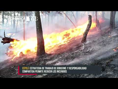 Incendios forestales en Estelí disminuyeron con estrategias gubernamentales - Nicaragua