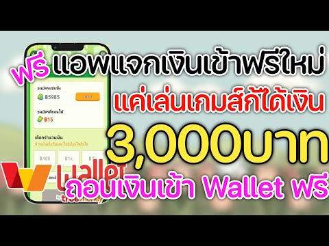 สอนหาเงินเข้าwalletฟรีวันละ