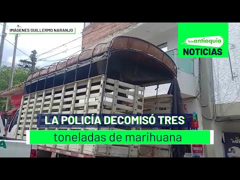 La Policía decomisó tres toneladas de marihuana - Teleantioquia Noticias