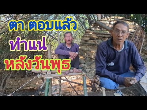 คำตอบของตาชาน