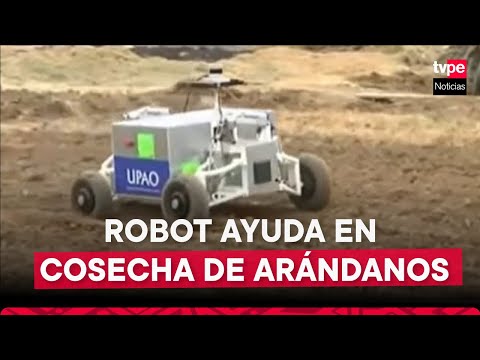 Trujillo: crean ROBOT para mejorar COSECHA de ARÁNDANOS
