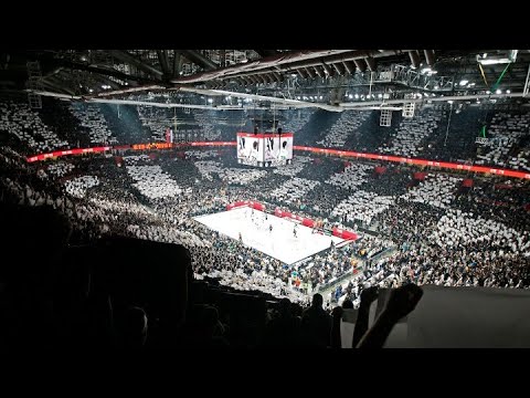 DA VOLIM CRNO-BELE! EuroLeague 2024/25 | Partizan Mozzart Bet
