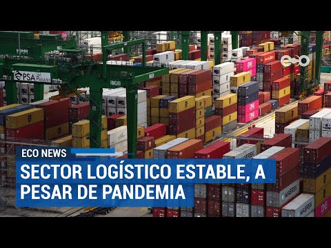 Sector logístico permanece estable, aunque con dificultades | ECO News