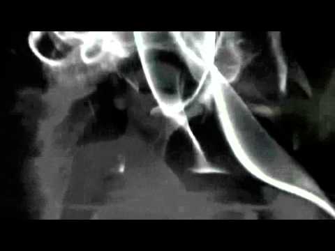 CHRIS REA - WHO DO YOU LOVE