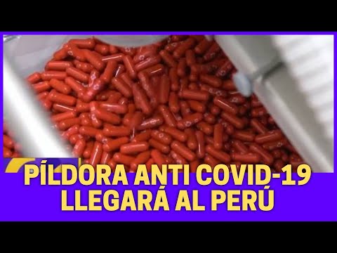 Aprueban uso de píldora anti covid-19 en Perú