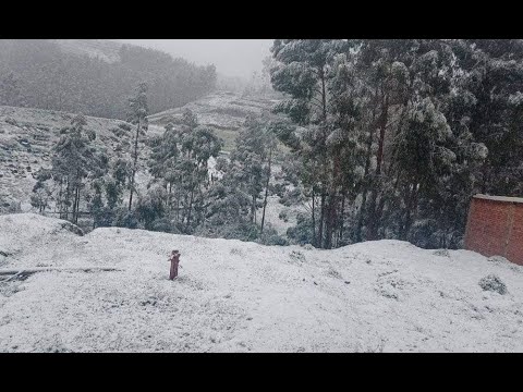 Cusco: Fuerte nevada está acabando con los sembríos de los agricultores