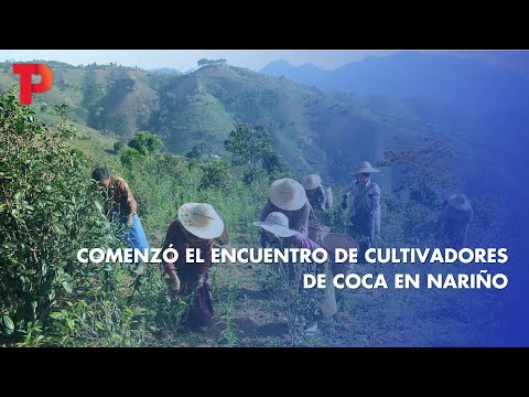Comenzó el encuentro de cultivadores de coca en Nariño | 12.05.2023 | TP Noticias