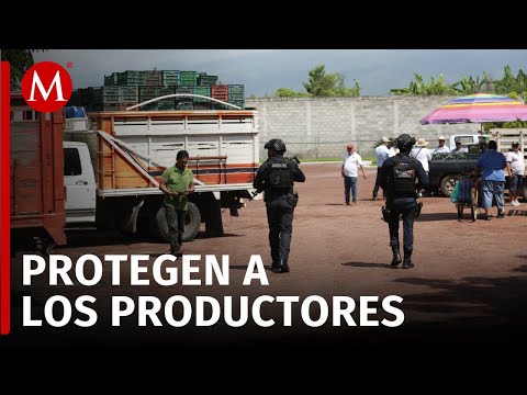 Despliegue de seguridad en Michoacán para protección de limones