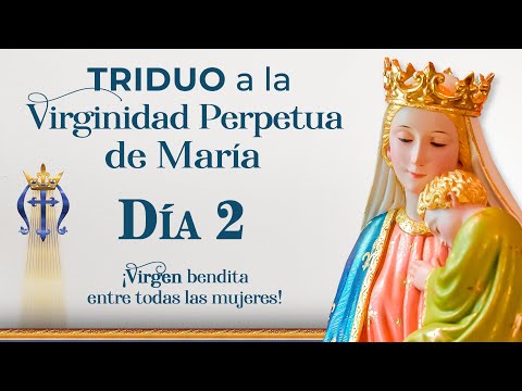 TRIDUO a la Virginidad Perpetua de María Santísima  Día 2  #virgenmaria #triduo