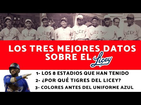 TRES DATOS HISTÓRICOS CURIOSOS SOBRE LOS TIGRES DEL LICEY QUE QUIZÁS NO SABÍAS! #Licey #Beisbol #MLB