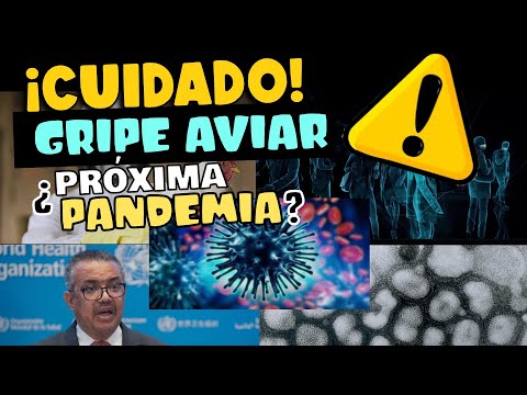 OMS DA ADVERTENCIA SOBRE GRIPE H5N1 ¿PRÓXIMA PANDEMIA?