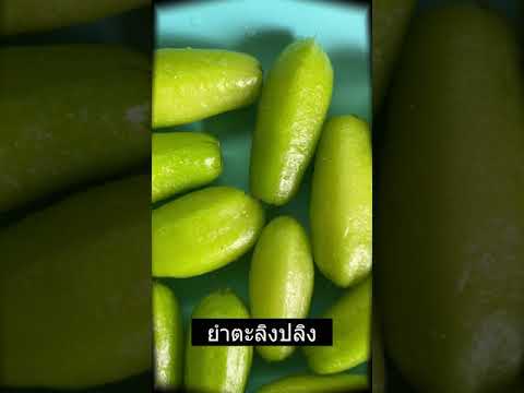 ยำตะลิงปลิง-แซ่บ!!..แสบปาก ยำตะลิงปลิง-แซ่บ!!..แสบปาก