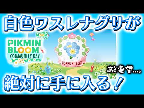 【ピクミンブルーム】白色ワスレナグサが絶対に手に入る！【Pikmin Bloom】