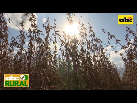 ABC Rural Programa 15: Ley de semillas