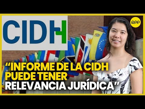 CIDH presentará informe sobre situación de los DD.HH. en Perú sobre protestas realizadas