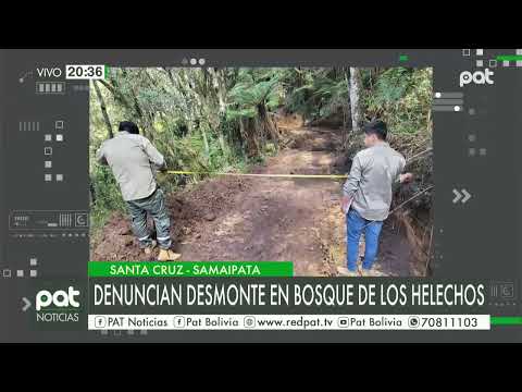 Denuncian desmonte en bosque de helechos en Samaipata