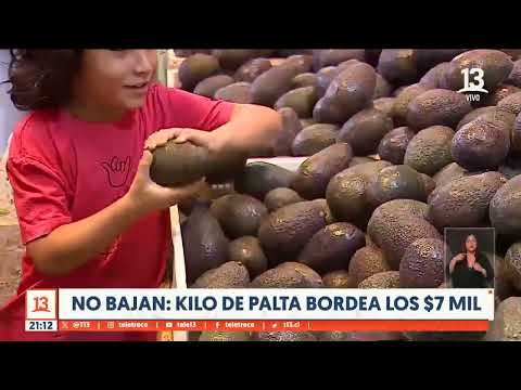 Kilo de palta bordea los 7mil pesos en La Vega Central
